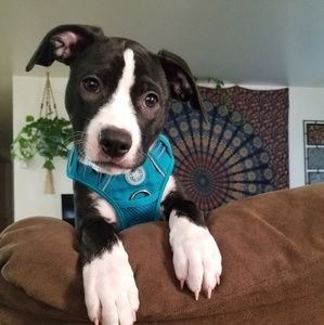 Meet your Posher, Erin